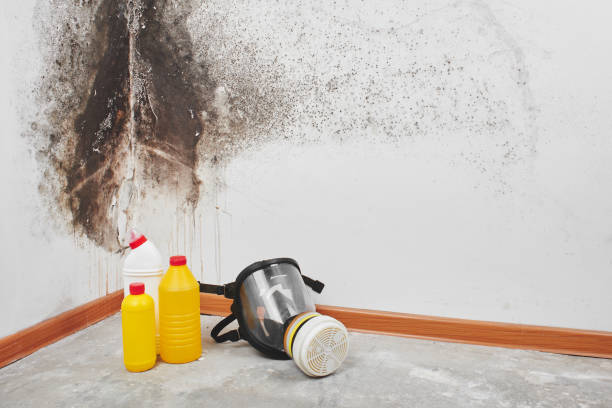Best Bathroom Mold Remediation in Matoaca, VA