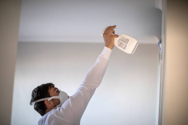 Best Preventive Mold Services in Matoaca, VA