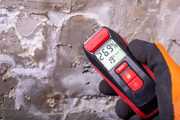 Best Mold Remediation for Specific Building Types in Matoaca, VA