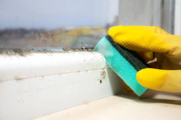 Best Crawl Space Mold Remediation in Matoaca, VA